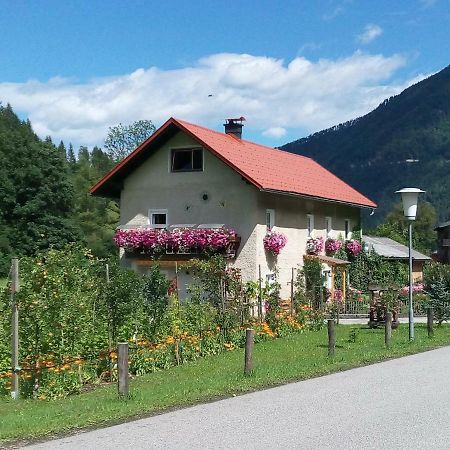 Appartment Haring Hollenstein an der Ybbs Exterior foto