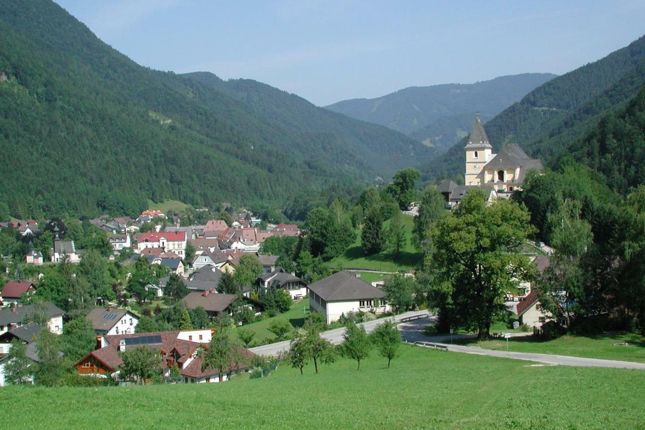 Appartment Haring Hollenstein an der Ybbs Exterior foto